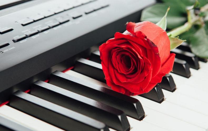 学几种乐器,学不同乐器给人的感觉