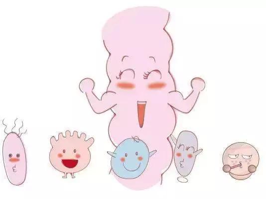 婴儿肠道菌群的定值与湿疹的发生+发展