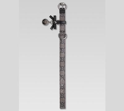 人不如狗系列：住着LV的狗袋，玩着八万元的宠物玩具