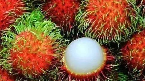 最奇葩的六种水果,你没吃过的十种奇葩水果