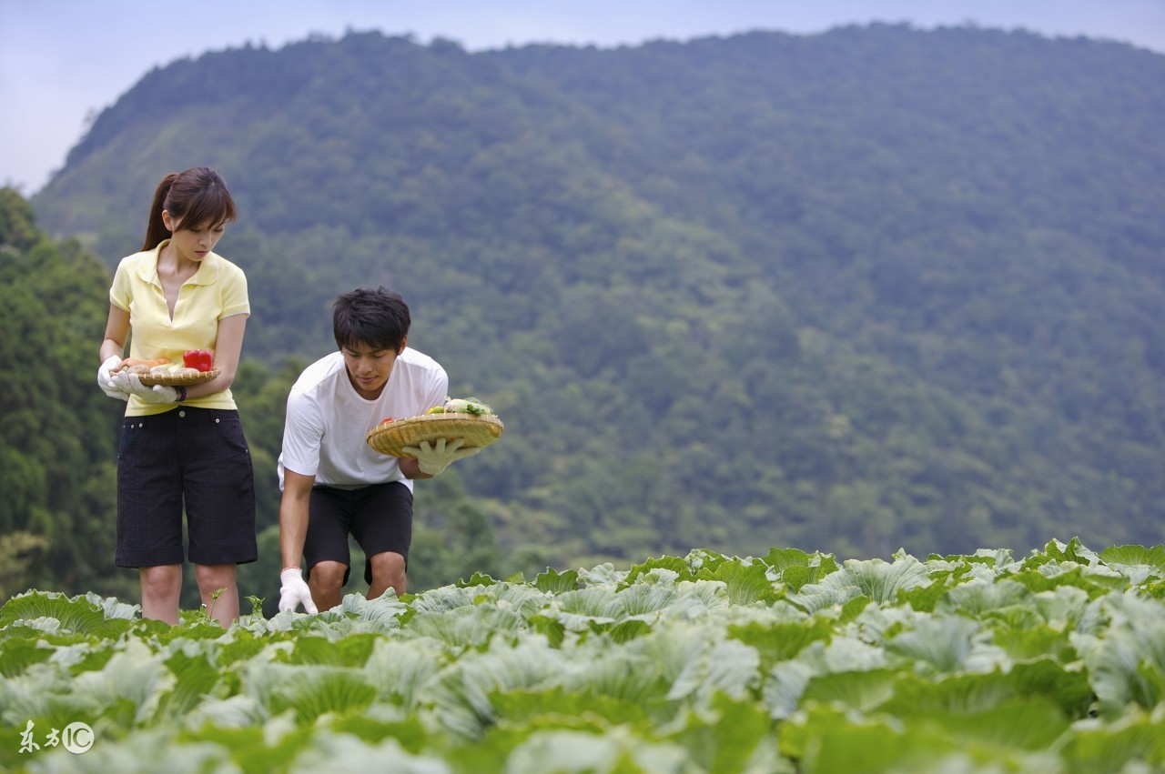 县城冷门暴利生意中国好商机,县城冷门暴利生意小吃餐饮