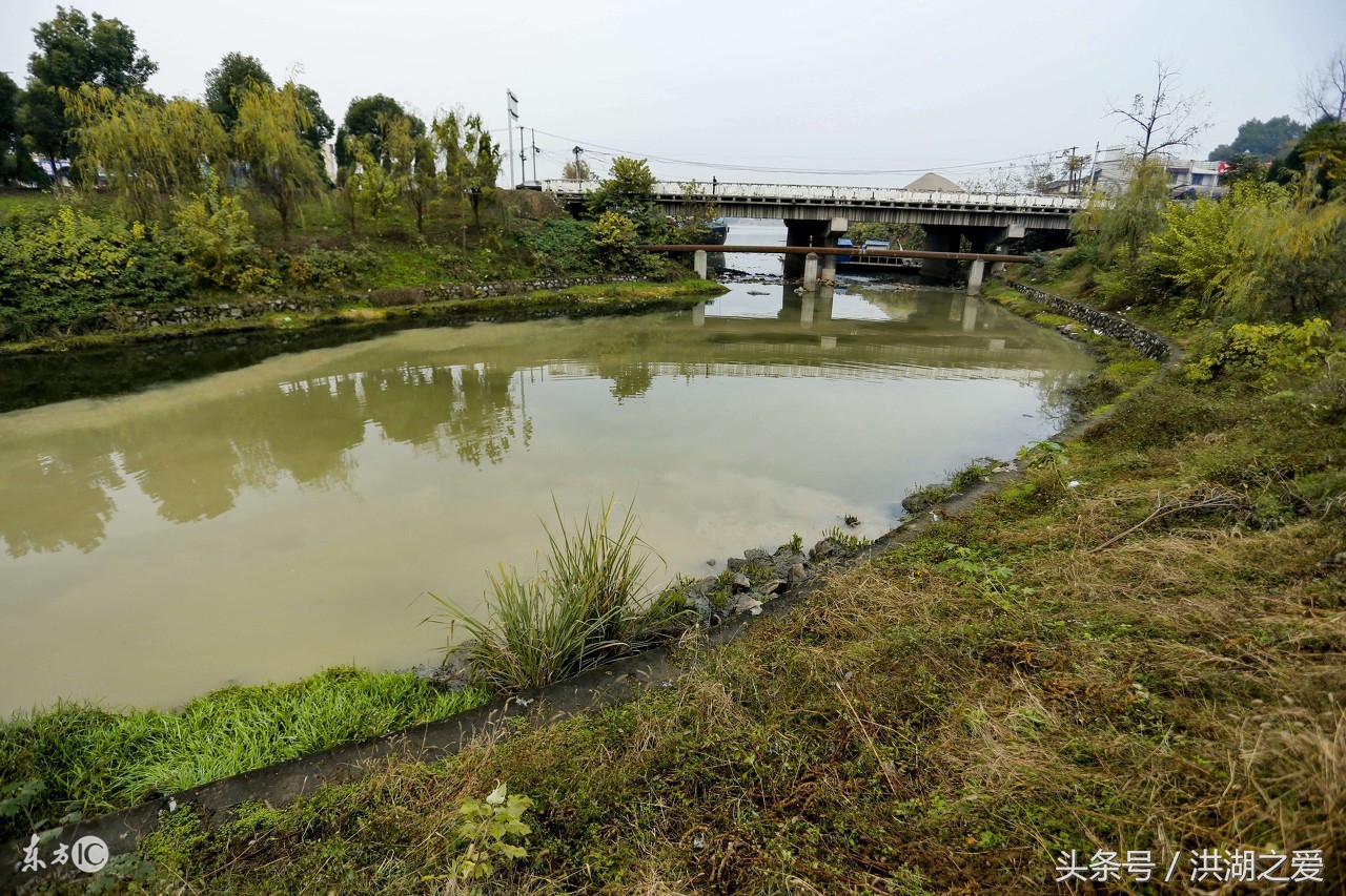 抬钓过河钓教程,四川抬钓过河钓
