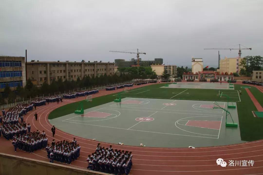 向人民日报举报有用吗,向人民报告全文