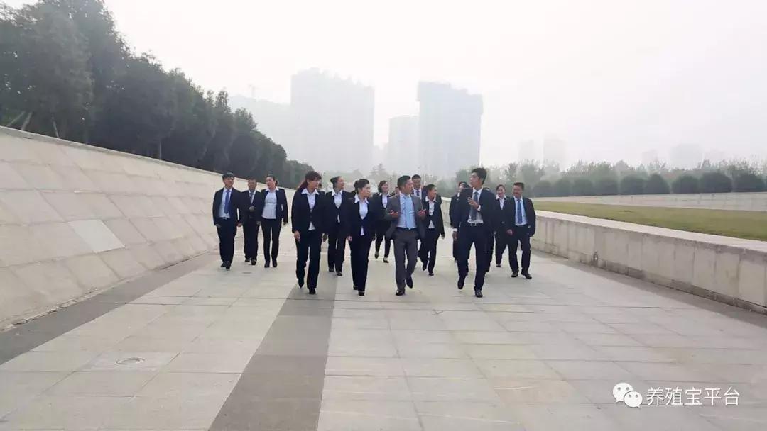 旭牧通创业,旭牧通2020年