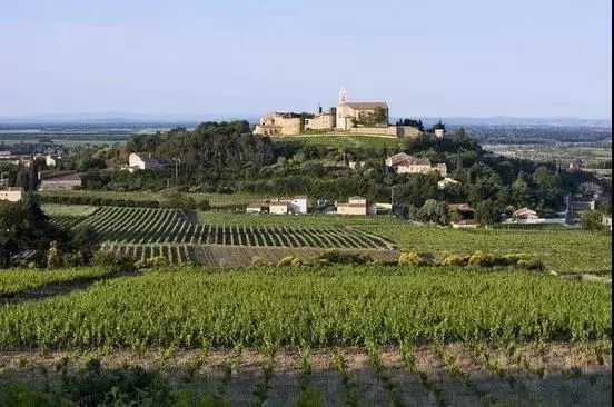 葡萄酒庄园旅游,葡萄酒之乡旅游攻略