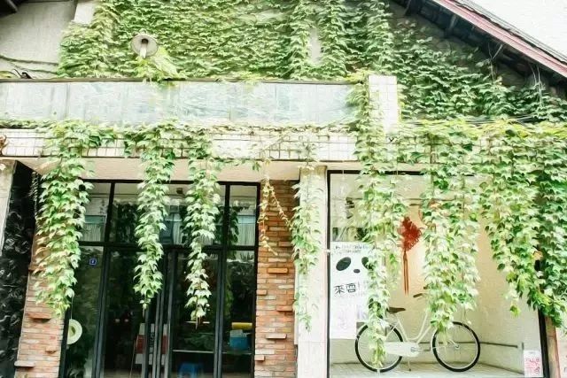 成都文艺惊艳的地方,成都最有文艺气息