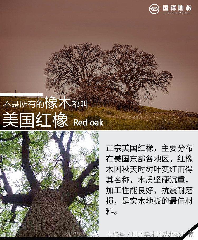 南浔地板实木地板品种,红橡实木地板价格