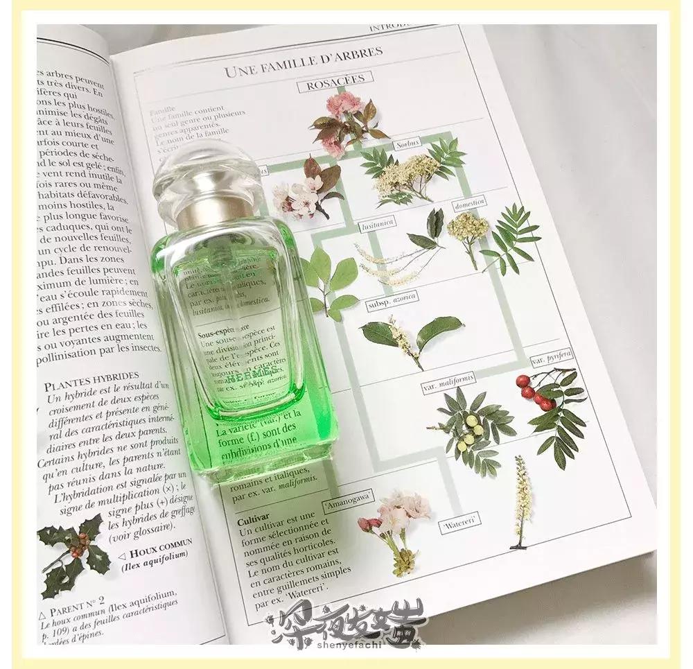 粉丝年度爱用物分享｜来自百万少女的亲身测评