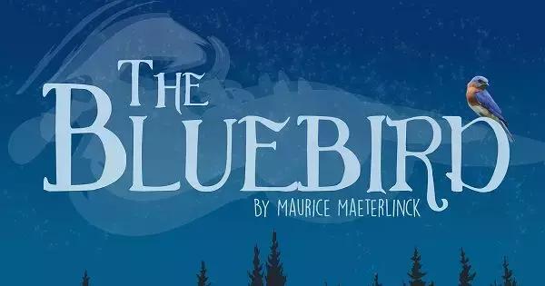 海鸥老鹰天鹅,英格兰俱乐部为什么都喜欢用鸟来做队徽?