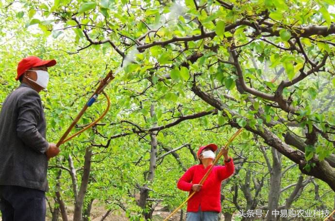 正确的清园手法,清园小妙招大全