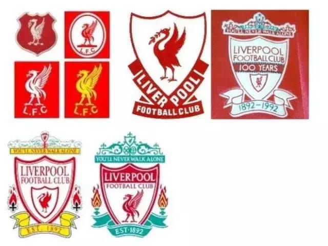 海鸥老鹰大雁,海鸥老鹰孔雀