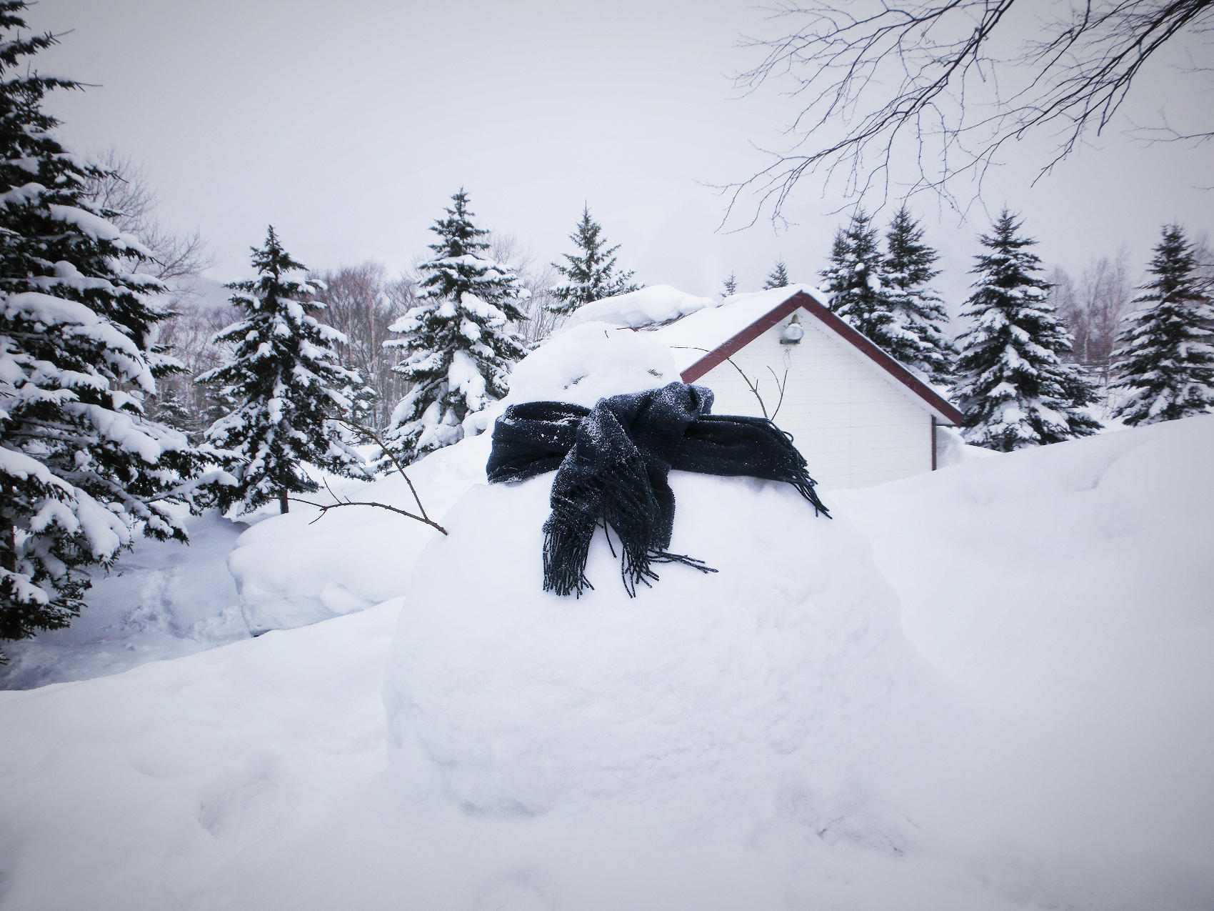 北海道冬日小樽,日本北海道小樽雪夜