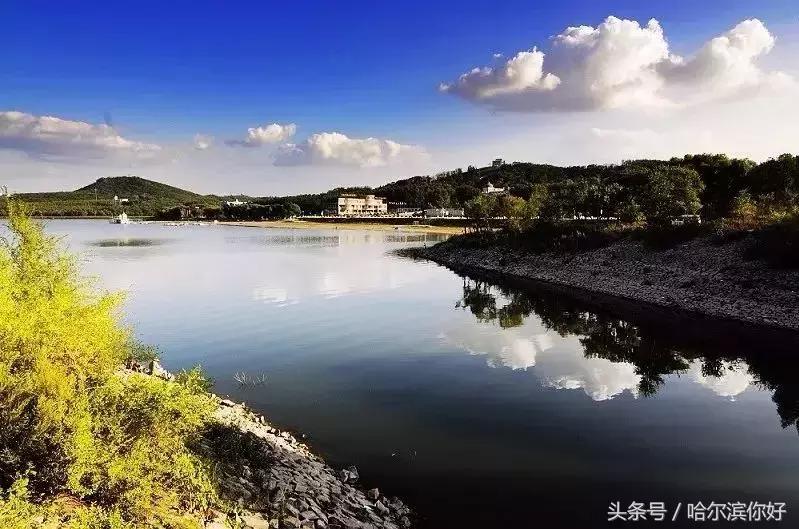 2018年哈尔滨各区县排名,2018年哈尔滨各区gdp