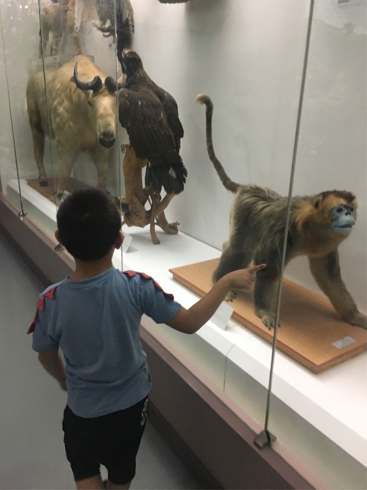 小屁孩的南京之旅,记录小屁孩的旅途