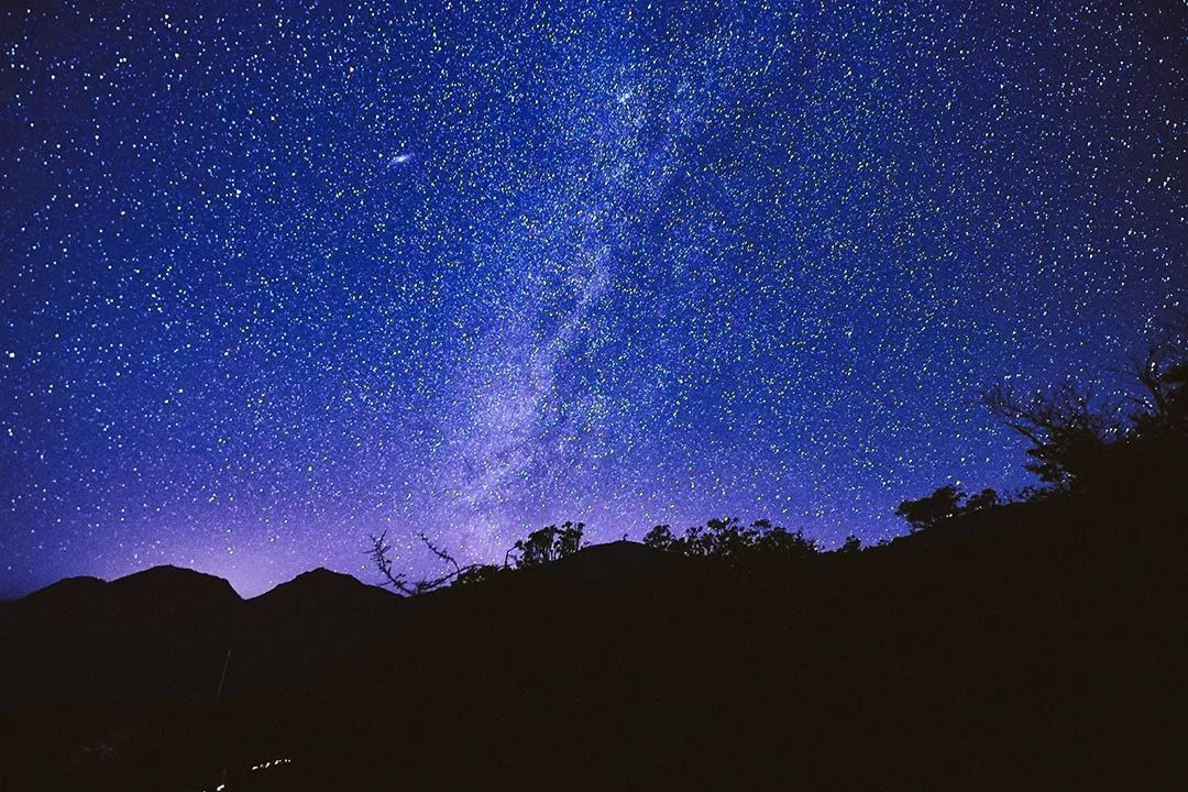 春城秀红嘴鸥图片,春城冬日美景