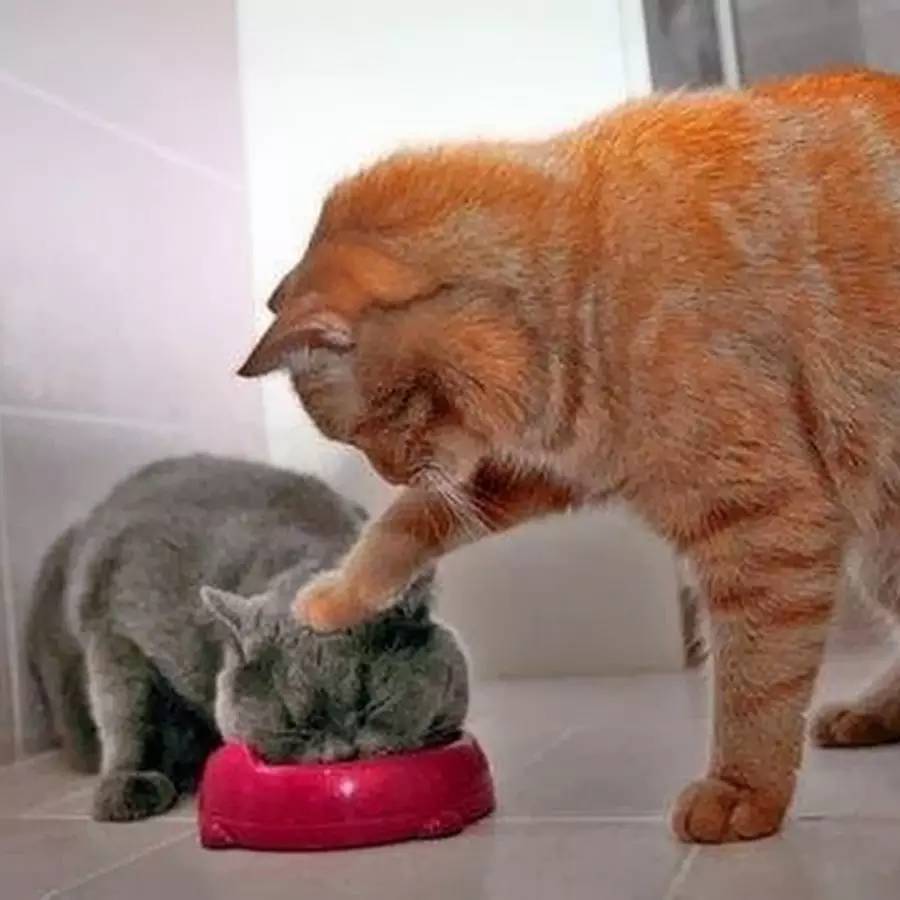 你为什么躺在床上一动不动,长期在床上不起来会怎么样