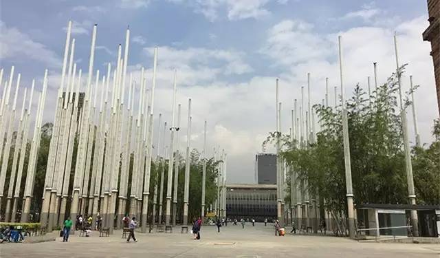 张海律:谋杀之都、黑色景点与生活在其中的受害者