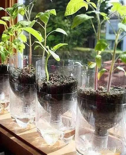 破瓦罐创意花盆,创意简约意境花盆