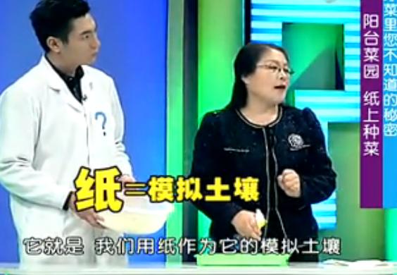 纸上种菜可以种向日葵吗,种菜小窍门两张纸就搞定