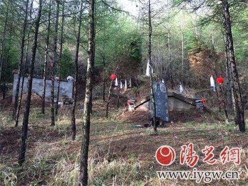 倒卖公墓由纪委还是公安机关查处,倒卖祖坟山土方如何举报