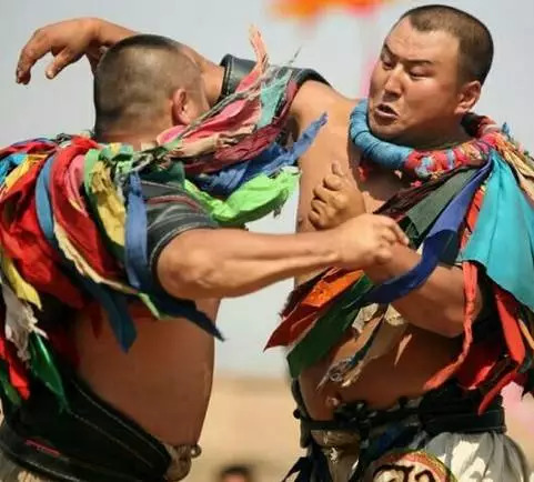 蒙古摔跤有多猛,蒙古摔跤的真实视频
