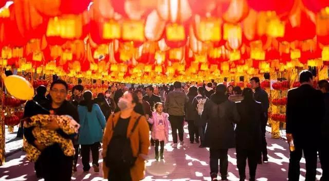 阿拉善今年活动,阿拉善户外活动