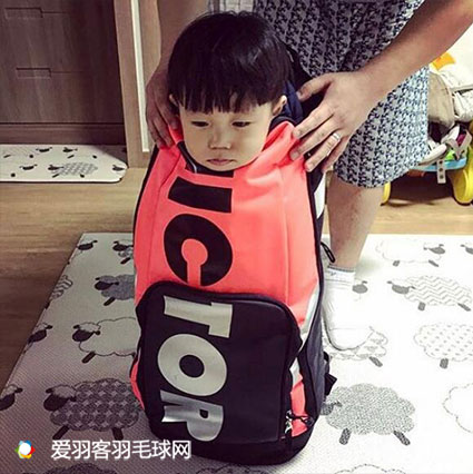 你为羽毛球付出了多少,为什么打羽毛球要花那么多钱