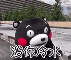 香港查出来的假货,香奈儿雪花秀有假的吗