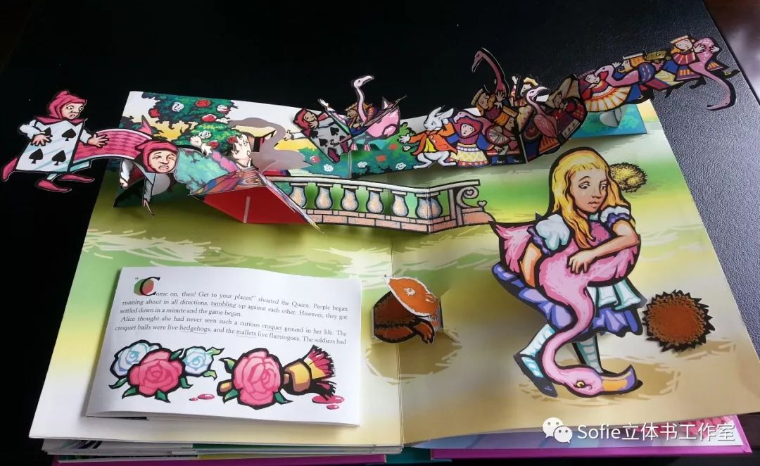 大开眼界提高认知的书籍,立体书购买推荐