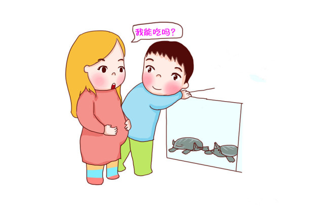 孕期补充dha会造成宝宝头大吗,在孕期什么阶段补充dha效果最佳