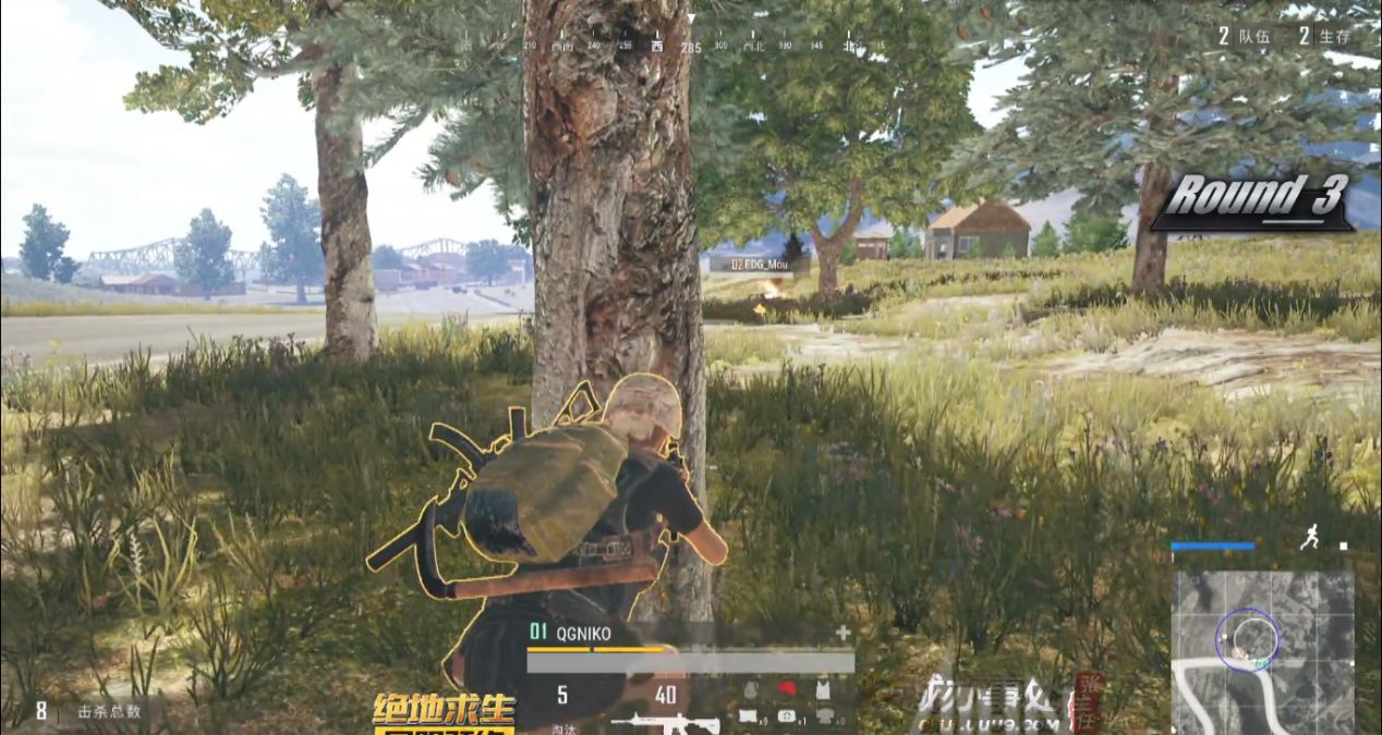 qm仙境吃鸡全民贺岁杯,edg吃鸡决赛