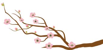 微语·咨讯与癌共生的秘密——肿瘤“绿色治疗”模式（下）