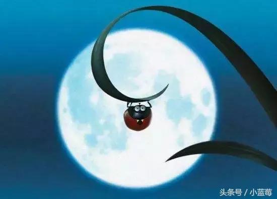 除了《粉红猪小妹》，我还带小蓝莓看这些优质动画片