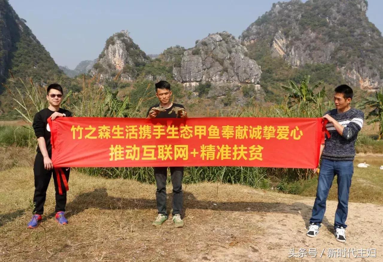 广东罗定“竹之森”携手䓣塘镇生态甲鱼，推动互联网+精准扶贫