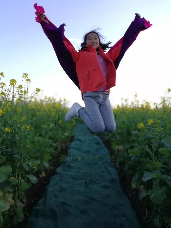 蒙自尼苏小镇有油菜花吗,蒙自尼苏小镇现在有花吗