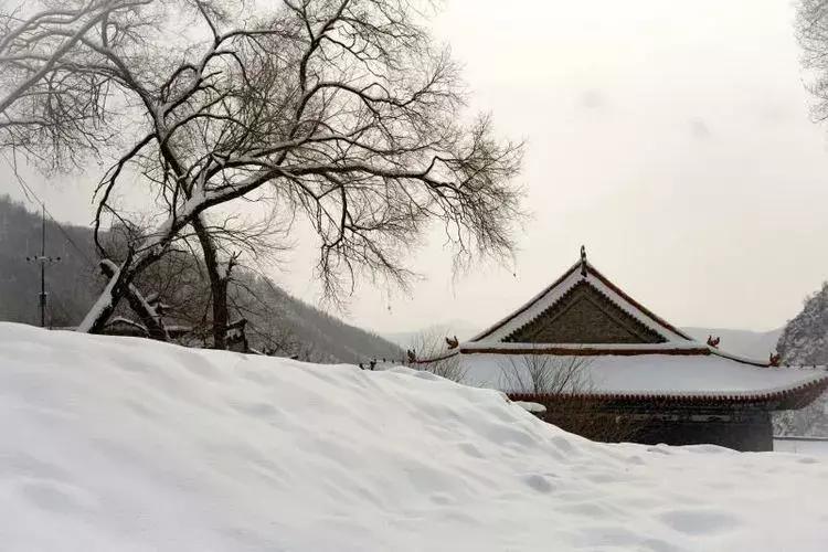 春节旅游一定要去五台山吗,今年冬天一定要去一趟五台山