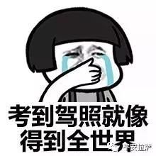 驾照分可以通过学习涨分吗,怎么让驾照分涨6分