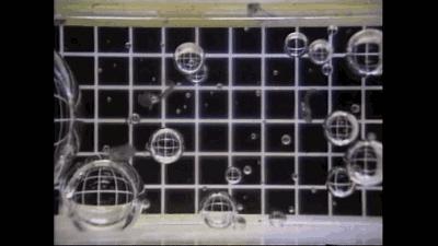 你知道青蛙旅行好玩，但不一定知道真正的青蛙早就玩过太空7日游