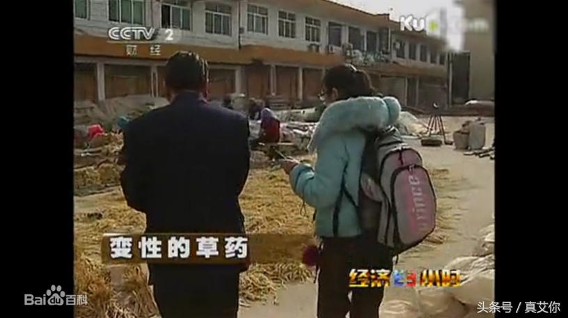 硫磺熏艾叶的真相！艾艾贴、艾条、艾叶真的有被硫磺熏的情况吗？
