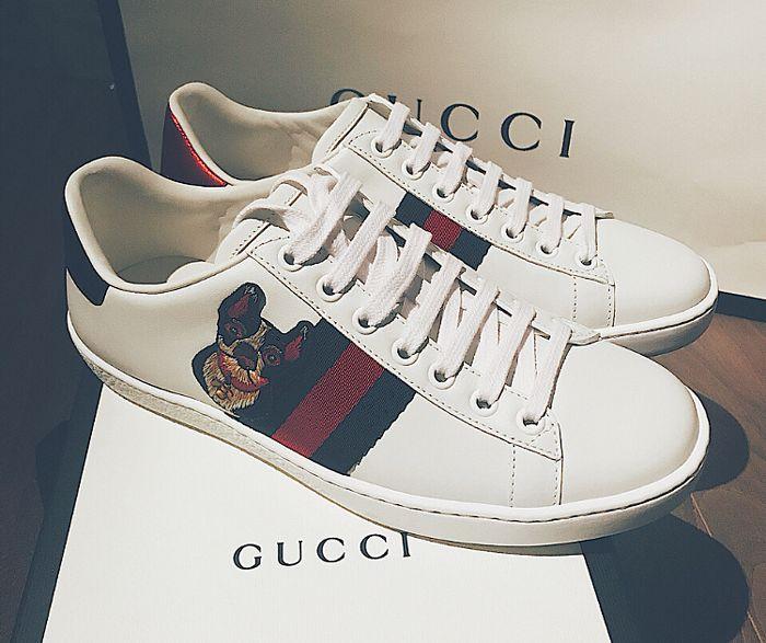 生肖吐槽,狗年生肖系列