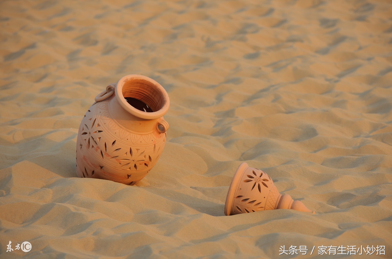 生活常识很重要8条必收藏,生活常识大全收藏备用