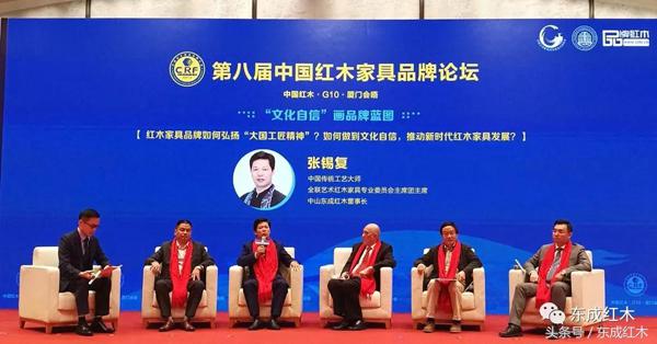 厦门机场金砖会晤,金砖国家峰会在厦门会晤