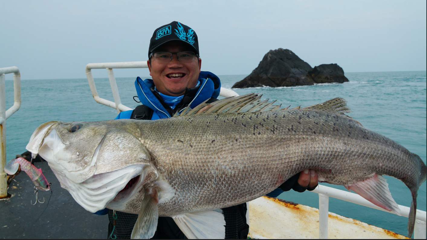 今年第一次钓海鲈鱼,最新钓七星鱼视频