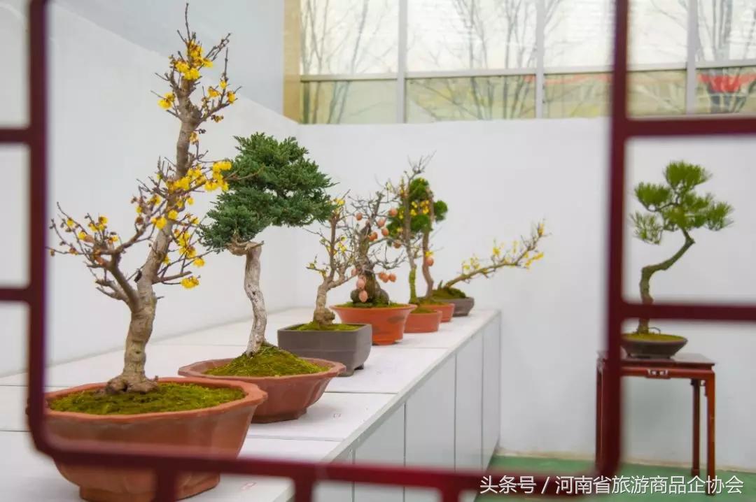 玩转河南冬天,玩转河南许昌