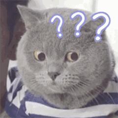 旅行青蛙不同人的养蛙方式,旅行青蛙养蛙指南