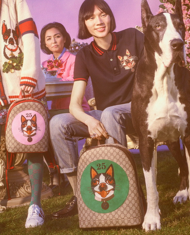 古驰小狗短袖,古驰小狗