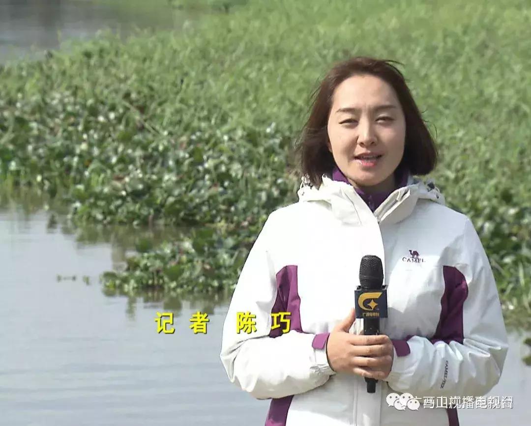 广西生态：“金字招牌”越擦越亮绿水青山变成“金饭碗”