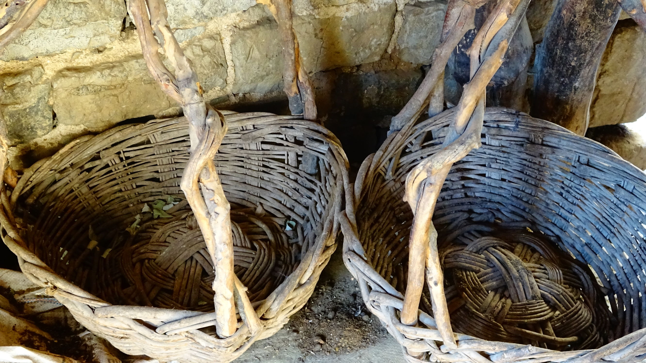 我的家在桃花峪：遇见青州窦家崖村的王老伯