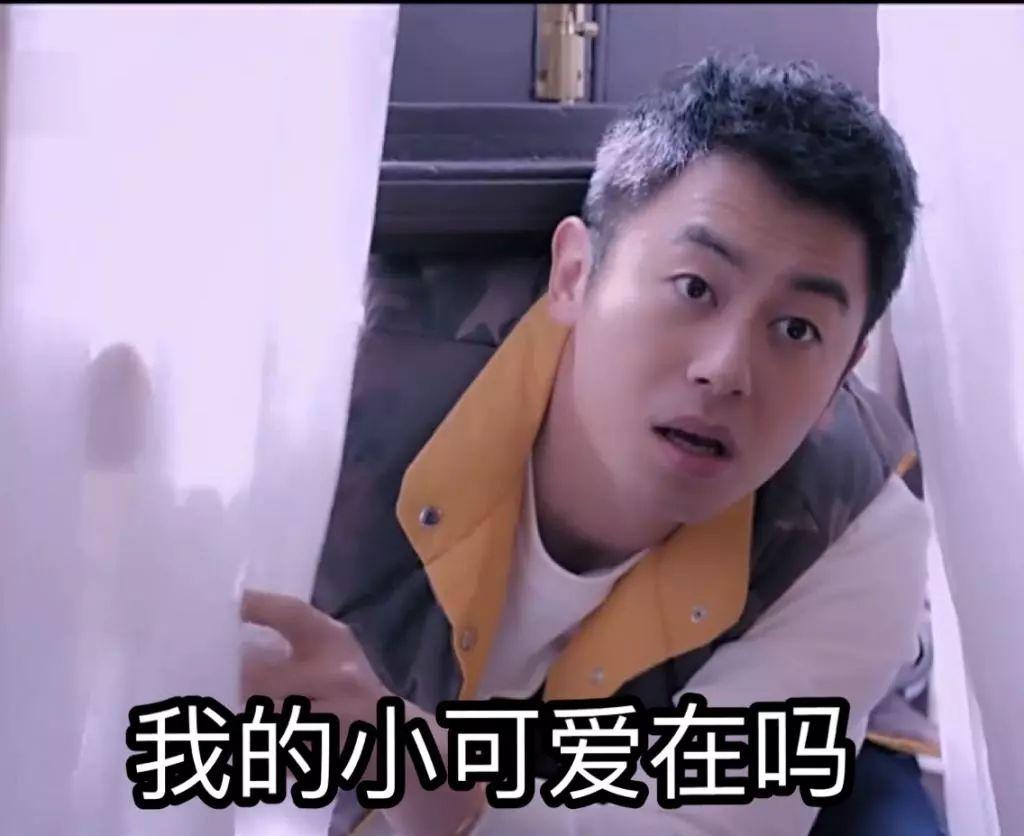 朱亚文真的很宠沈佳妮吗,朱亚文喜欢过刘亦菲吗