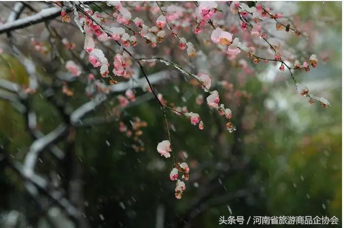 玩转河南冬天,玩转河南许昌